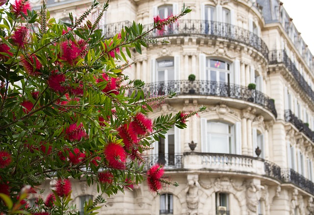 Montpellier