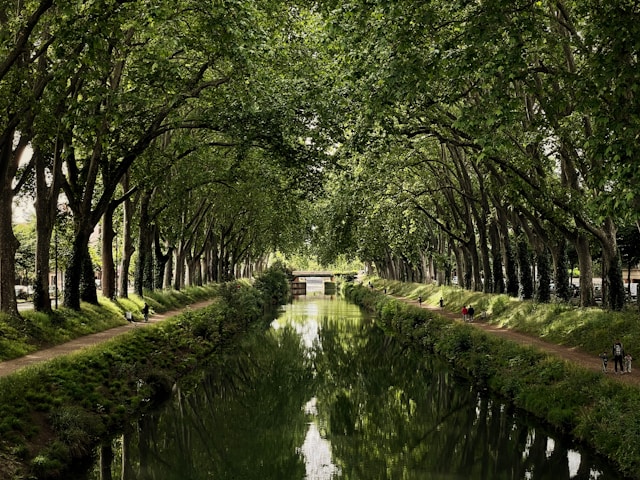 Toulouse besichtigen