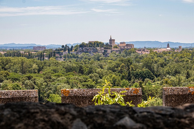 Avignon Tourismus