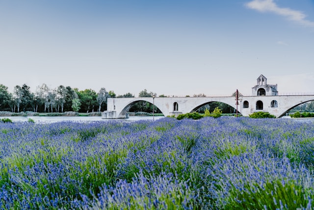 Avignon Tourismus